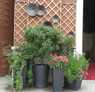 �����̻�ֲ������